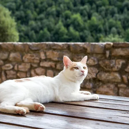 Castello Valenzino Apartahotel 3*