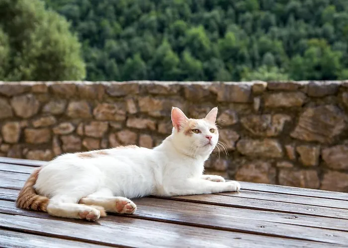 Castello Valenzino Aparthotel 3*